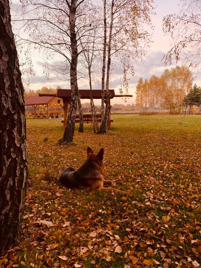 Rajskie Siedlisko Smykow Exteriör bild